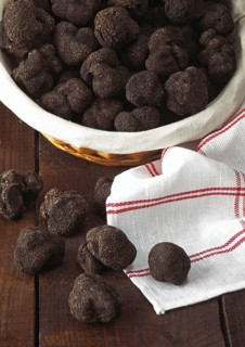 Perigord Truffle