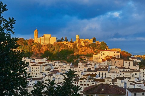 Casares
