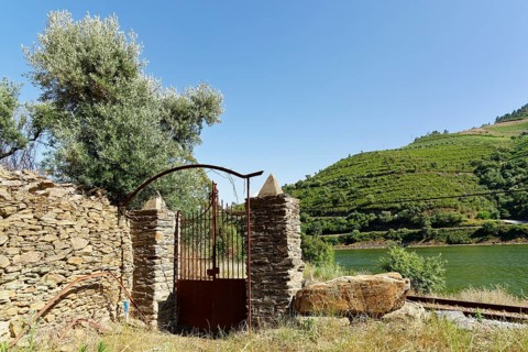 Ruinous house