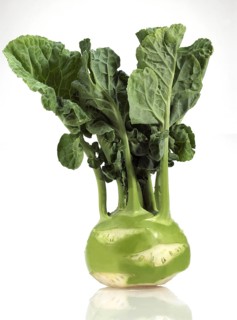 Kohlrabi Cabbage