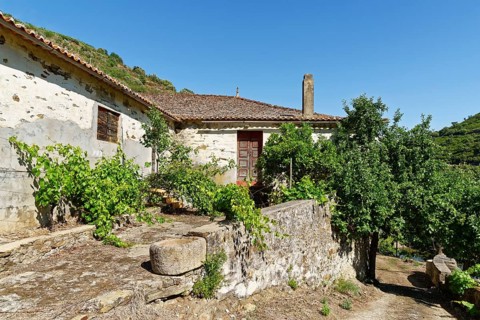 Ruinous house