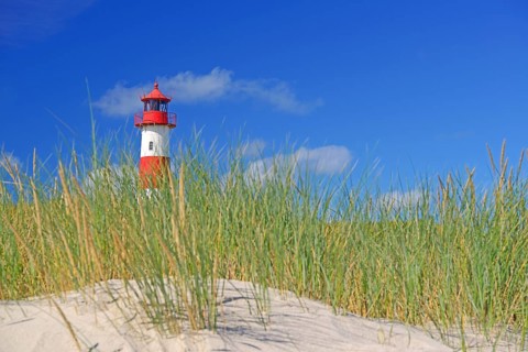 List West Lighthouse in the dunes at the elbow