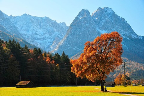 Autumn
