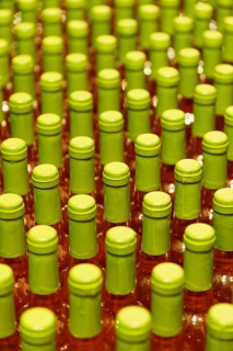 Fresh bottled white wine
