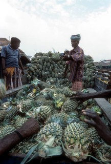 Unloading Pineapple at Koyambedu whole sale vegetable and fruit market is one of Asia's largest perishable goods market complex located in Chennai Madras