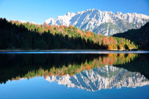 Autumn forest