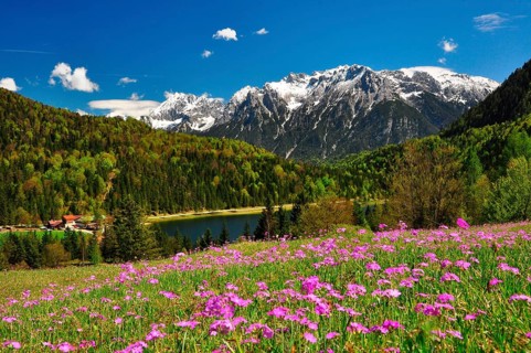 Mountain lake