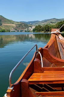 Boat tour