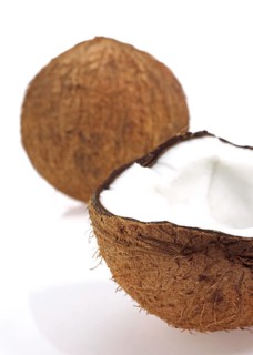 Coconut