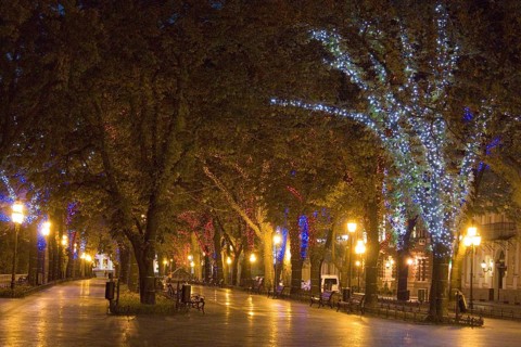 Primorsky Boulevard