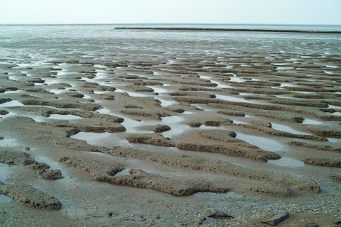 Jade Bay