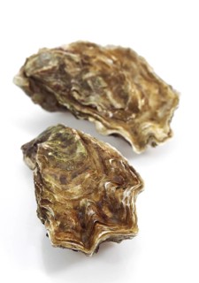 French Marennes d'Oleron oysters
