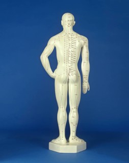 Man statuette shows acupuncture points