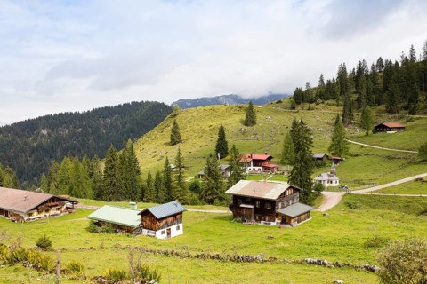 Alpine pasture