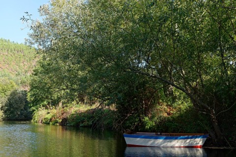 Small lake with rowing boat