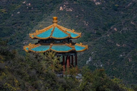 Pavilion