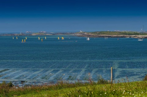 Sailing boats in the bay near Landeda