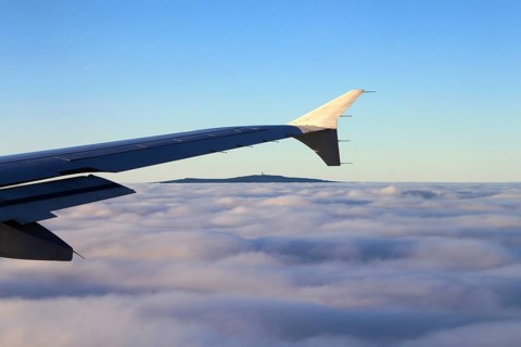 Aircraft wing