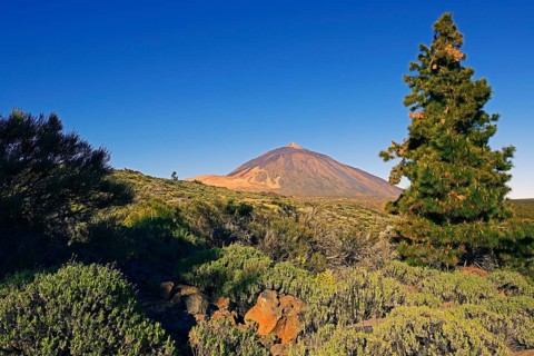 Pico del Teide Volcano