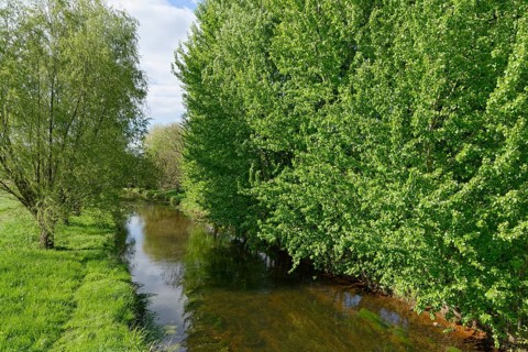River Niers near Grefrath