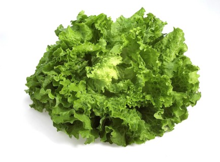 SCAROLE SALAD