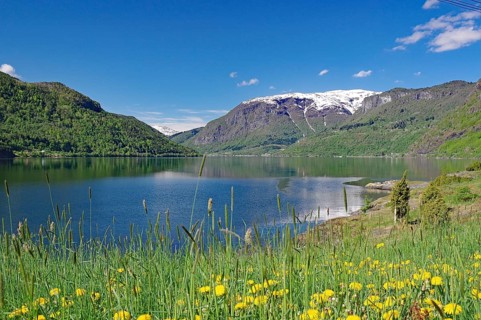 Spring landscape