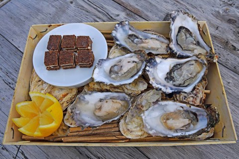 6 fresh oysters