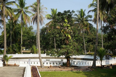 Lotus Pond