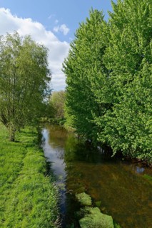 Niers near Grefrath-Muelhausen
