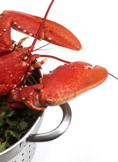 Boiled Lobster