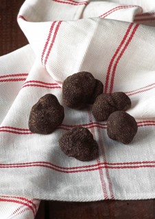 Perigord Truffle