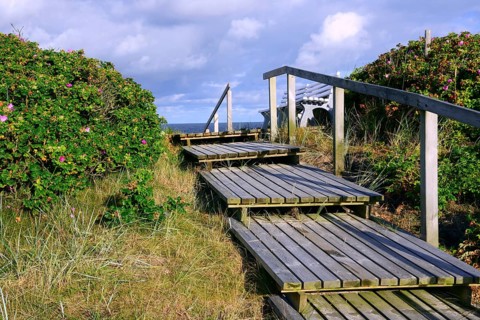 Access to the beach through the dunes of Rantum