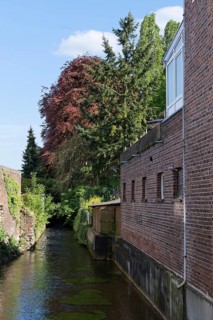 Muehlenteich stream