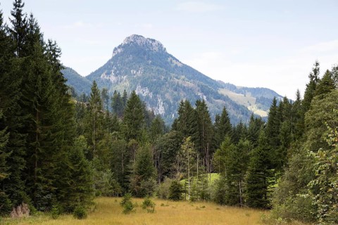 Bruennstein
