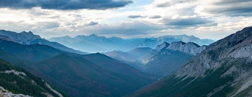 View into forested valley