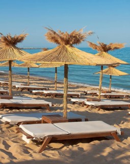 Umbrellas on the beach