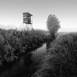 German floodplain landscape in Brandenburg with high seat on the Nuthe in black and white