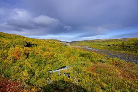 Colourful autumn colours