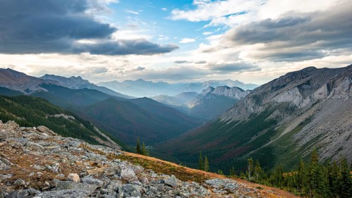 View into forested valley