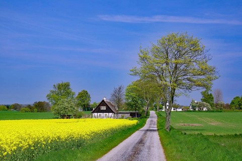 Narrow road