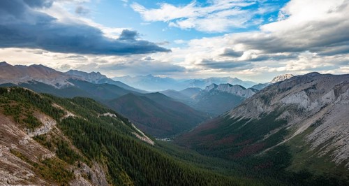 View into forested valley
