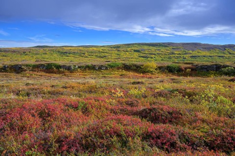 Colourful autumn colours