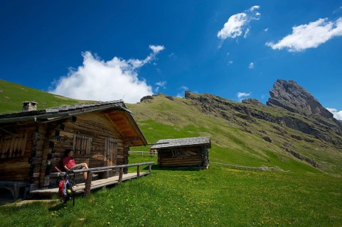 Alpine pasture on the Seceda with Geislerspitzen