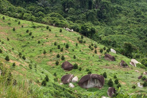 Fertile landscape with stone formations