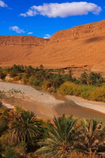 Ziz River