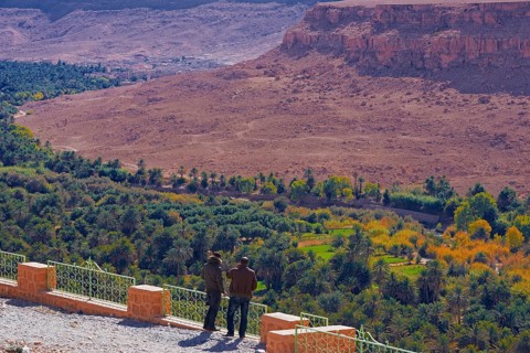 Tafilalet Oasis