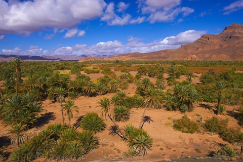 Djebel Kissane
