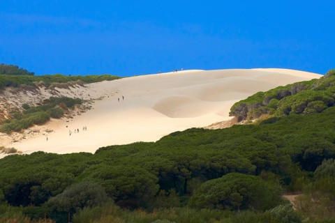 Bolonia