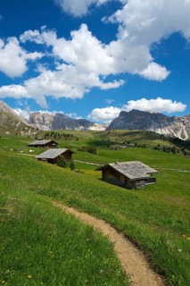 Alpine pasture on the Seceda