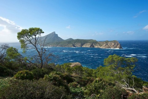 Sa Dragonera Island